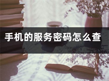 手机的服务密码怎么查