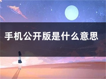 手机公开版是什么意思