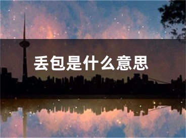 丢包是什么意思