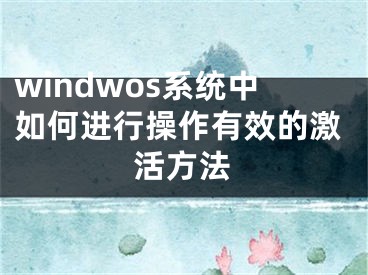 windwos系统中如何进行操作有效的激活方法