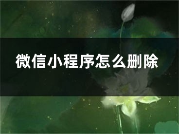 微信小程序怎么删除