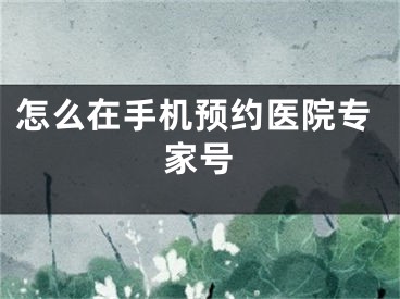 怎么在手机预约医院专家号