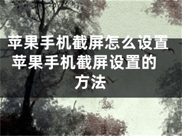 苹果手机截屏怎么设置 苹果手机截屏设置的方法