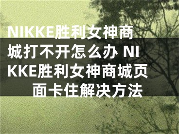 NIKKE胜利女神商城打不开怎么办 NIKKE胜利女神商城页面卡住解决方法