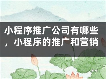 小程序推广公司有哪些，小程序的推广和营销