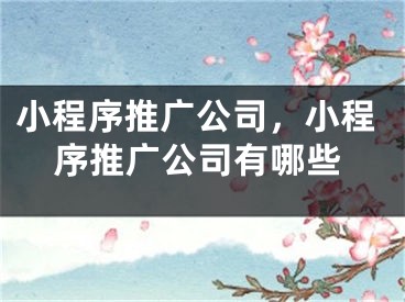 小程序推广公司，小程序推广公司有哪些