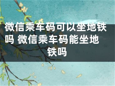 微信乘车码可以坐地铁吗 微信乘车码能坐地铁吗