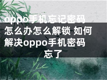 oppo手机忘记密码怎么办怎么解锁 如何解决oppo手机密码忘了