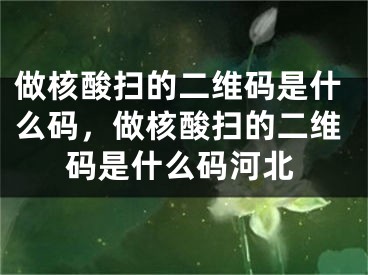 做核酸扫的二维码是什么码，做核酸扫的二维码是什么码河北