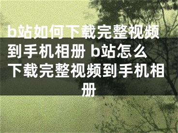 b站如何下载完整视频到手机相册 b站怎么下载完整视频到手机相册