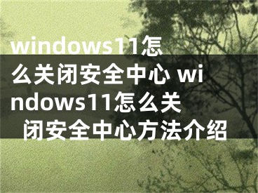 windows11怎么关闭安全中心 windows11怎么关闭安全中心方法介绍