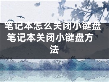笔记本怎么关闭小键盘 笔记本关闭小键盘方法