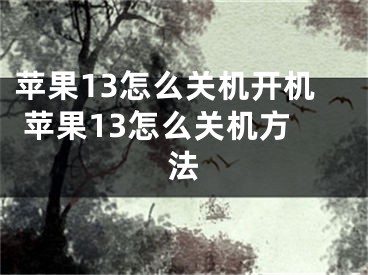 苹果13怎么关机开机 苹果13怎么关机方法