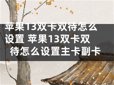 苹果13双卡双待怎么设置 苹果13双卡双待怎么设置主卡副卡