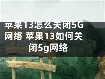 苹果13怎么关闭5G网络 苹果13如何关闭5g网络