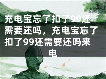 充电宝忘了扣了99还需要还吗，充电宝忘了扣了99还需要还吗来电