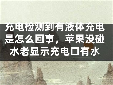 充电检测到有液体充电是怎么回事，苹果没碰水老显示充电口有水