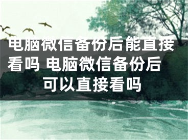 电脑微信备份后能直接看吗 电脑微信备份后可以直接看吗