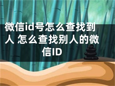 微信id号怎么查找到人 怎么查找别人的微信ID