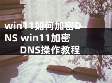 win11如何加密DNS win11加密DNS操作教程