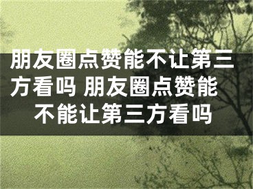 朋友圈点赞能不让第三方看吗 朋友圈点赞能不能让第三方看吗 