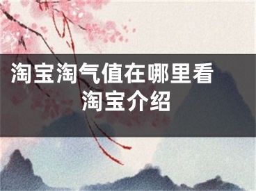 淘宝淘气值在哪里看 淘宝介绍