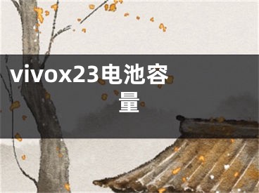 vivox23电池容量