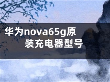 华为nova65g原装充电器型号