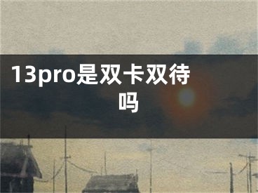 13pro是双卡双待吗