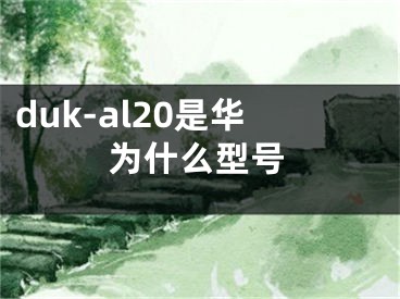 duk-al20是华为什么型号