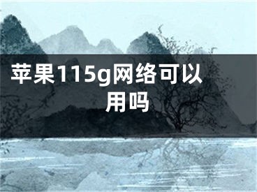 苹果115g网络可以用吗