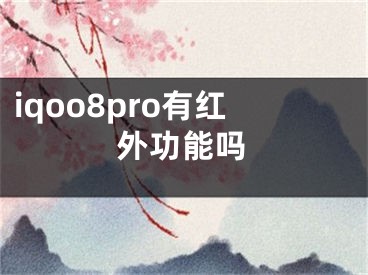 iqoo8pro有红外功能吗