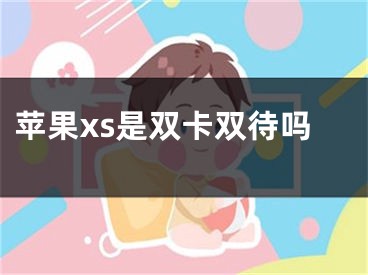 苹果xs是双卡双待吗