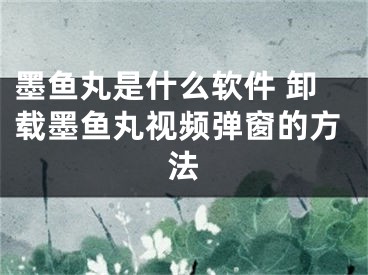 墨鱼丸是什么软件 卸载墨鱼丸视频弹窗的方法