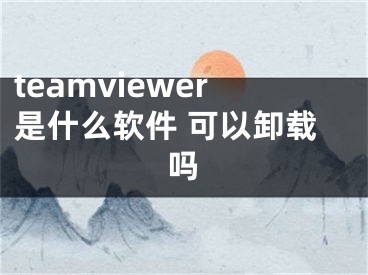 teamviewer是什么软件 可以卸载吗