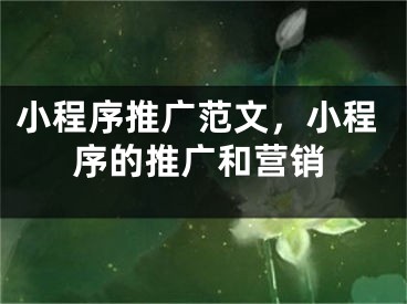 小程序推广范文，小程序的推广和营销