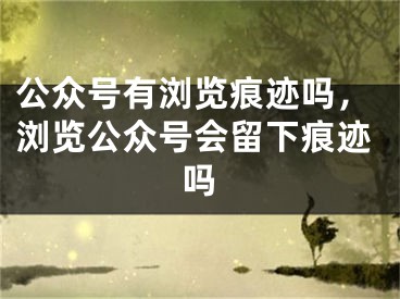 公众号有浏览痕迹吗，浏览公众号会留下痕迹吗