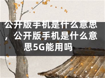 公开版手机是什么意思，公开版手机是什么意思5G能用吗