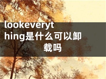 lookeverything是什么可以卸载吗