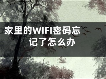 家里的WIFI密码忘记了怎么办