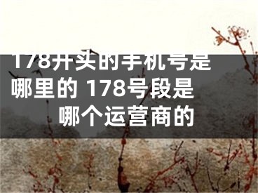 178开头的手机号是哪里的 178号段是哪个运营商的