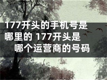 177开头的手机号是哪里的 177开头是哪个运营商的号码