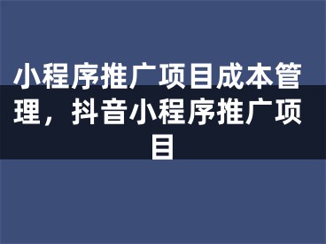 小程序推广项目成本管理，抖音小程序推广项目