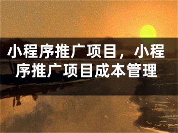 小程序推广项目，小程序推广项目成本管理