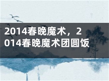 2014春晚魔术，2014春晚魔术团圆饭