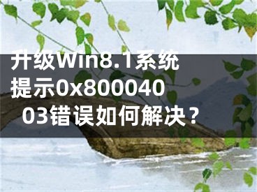 升级Win8.1系统提示0x80004003错误如何解决？