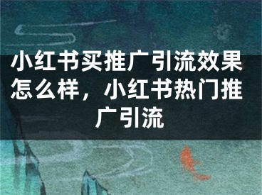 小红书买推广引流效果怎么样，小红书热门推广引流