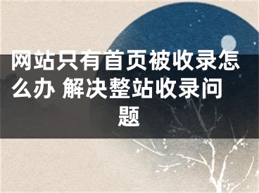 网站只有首页被收录怎么办 解决整站收录问题 