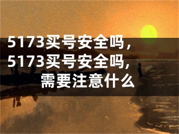 5173买号安全吗，5173买号安全吗,需要注意什么