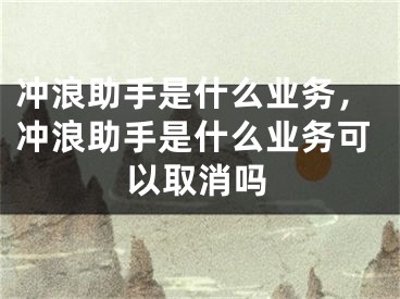 冲浪助手是什么业务，冲浪助手是什么业务可以取消吗